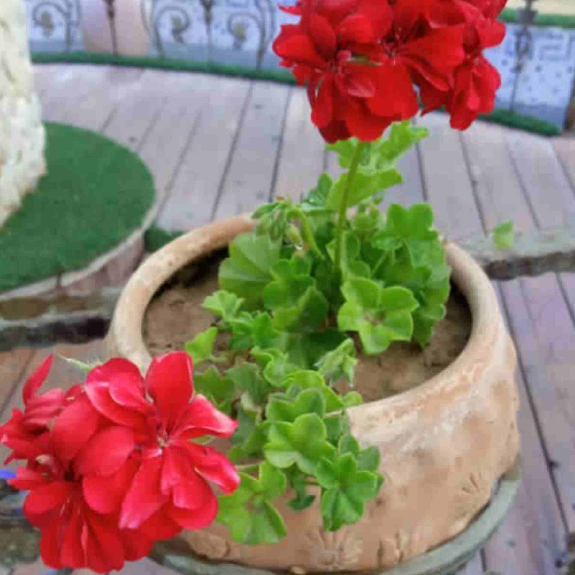 آهنگ جدید دشی به نام بی تو همه چی سختره بیب برگرد دیگه